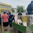 В сельских поселениях Прохладненского района проходят субботники - Прохладненский район